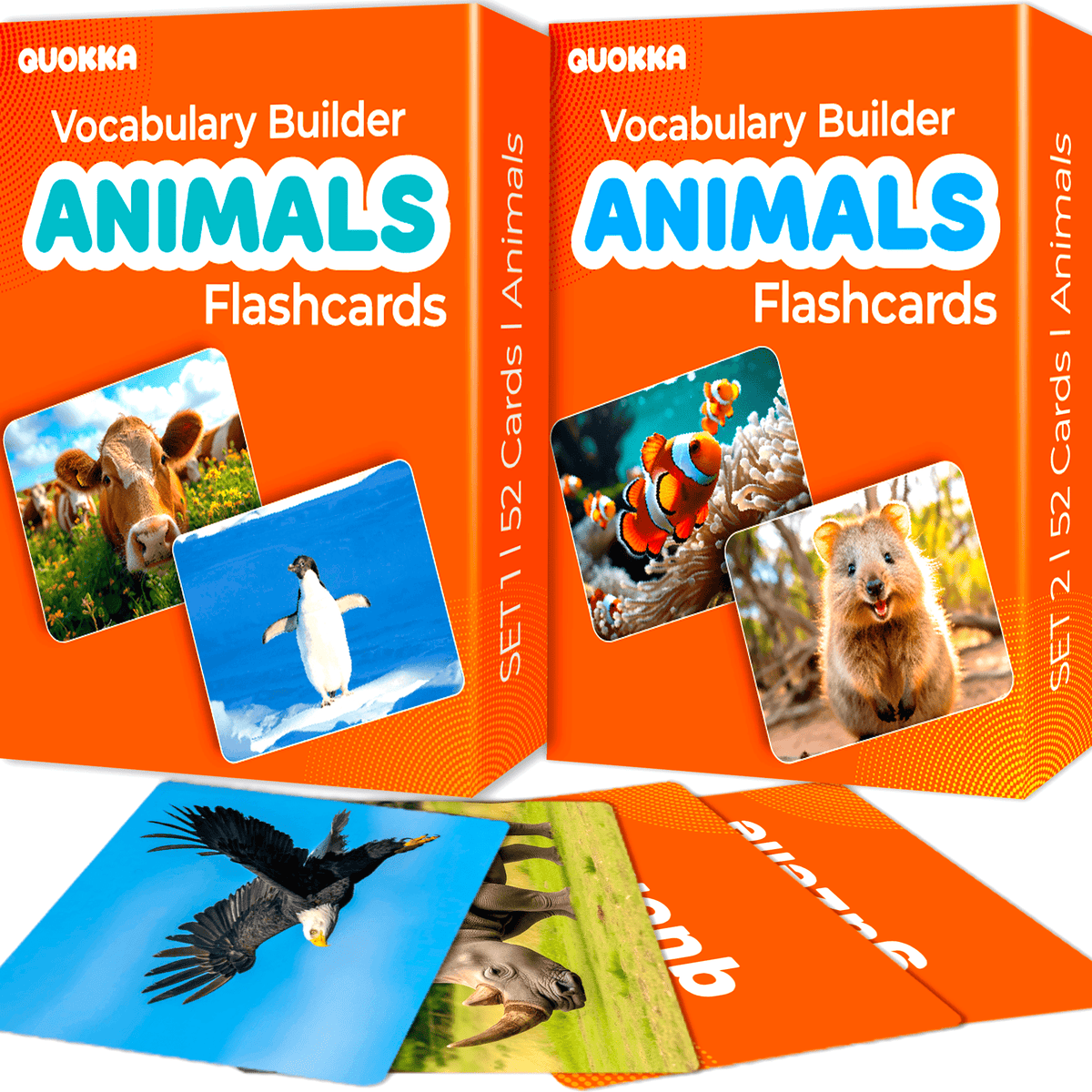 Flash Cards Set