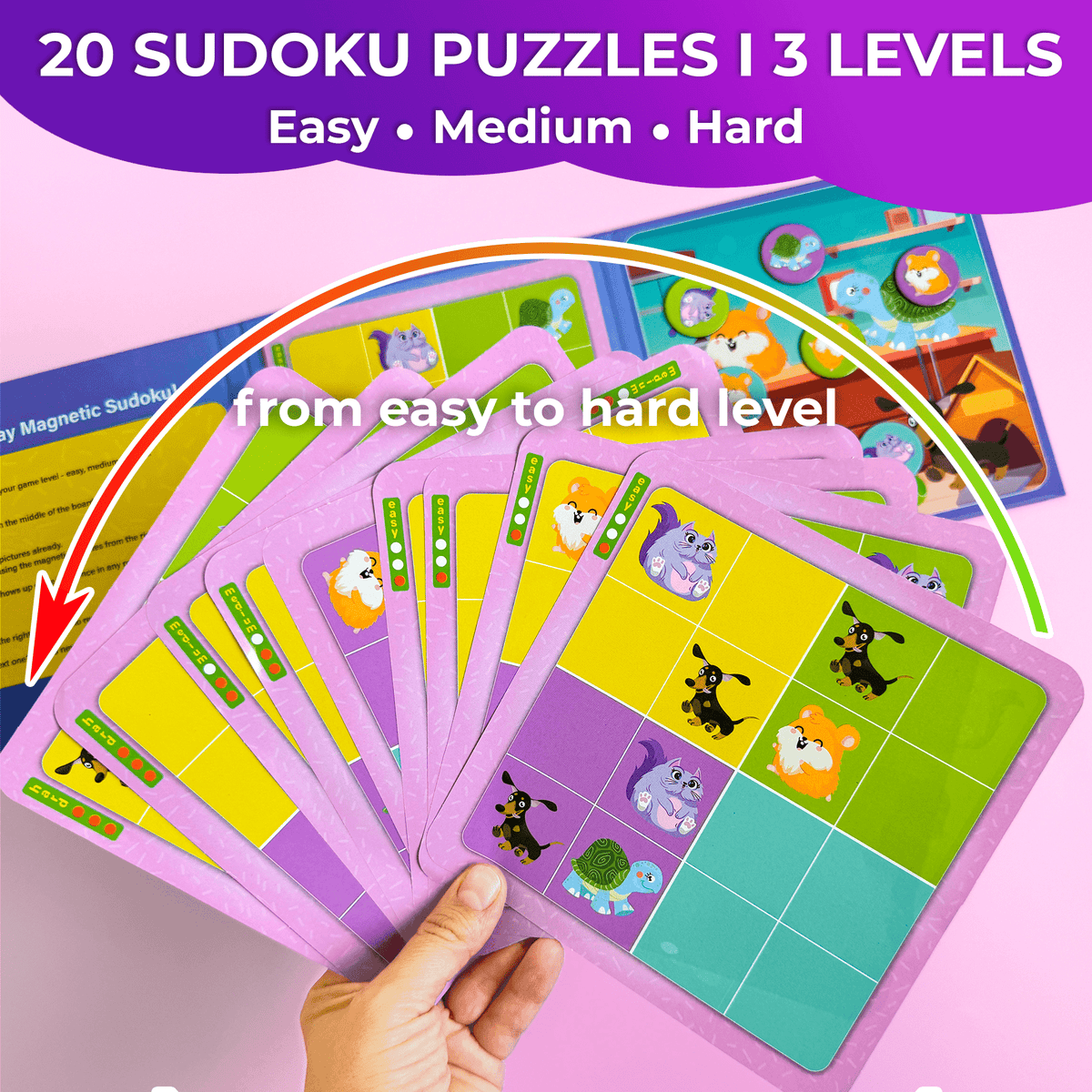 Magnetic Sudoku Set