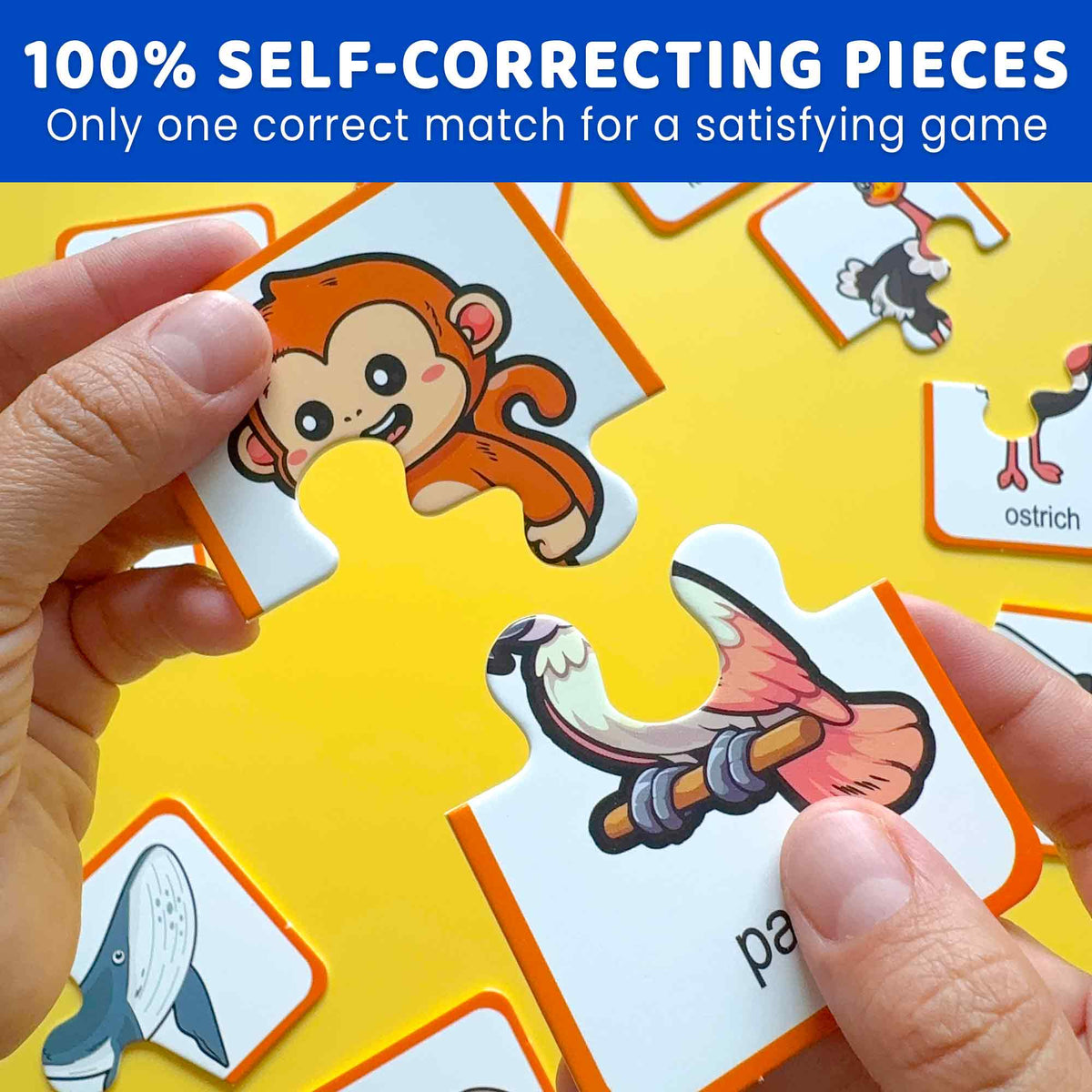 Educational Toddler Puzzles