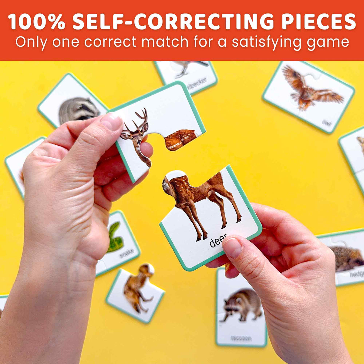 Matching Puzzle for Toddlers - 16 Realistic Pairs Forest Animals