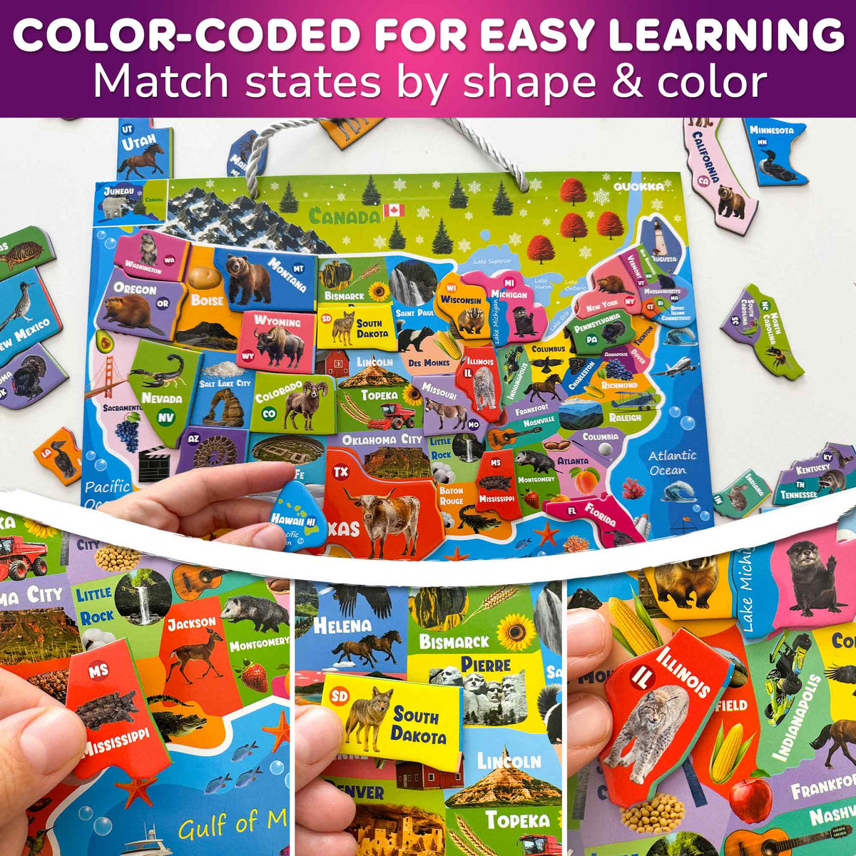 Magnetic Puzzles for Kids - Realistic USA Map
