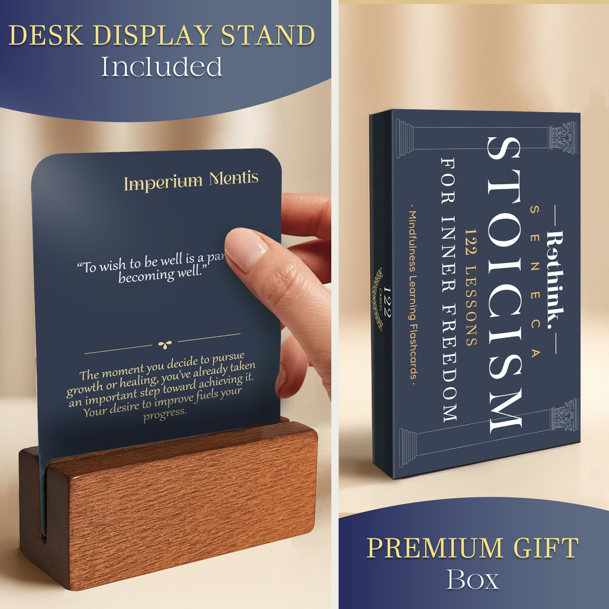 Stoicism Cards Seneca  - 122 Daily Quotes & Exercises